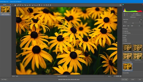 5 Secrets to Converting Presets to Profiles in Lightroom and ACR