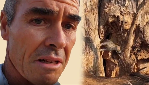 Wildlife Filmmaker Has a Close Call With a Leopard