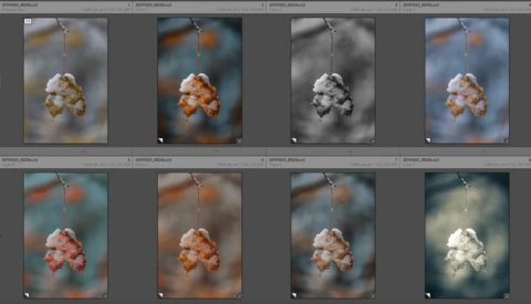 How to Use Virtual Copies and Snapshots in Lightroom