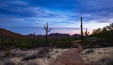 Do You Need to Shoot Raw or Will JPEG Suffice?