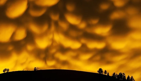 Incredible Images From the Royal Society's Scientific Phenomena Competition