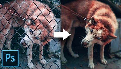 How to Remove a Chain Link Fence Using Photoshop