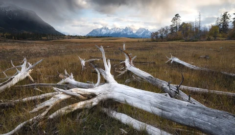 How to Use a Foreground to Create Depth