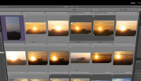 Everything You Ever Wanted to Know About the Lightroom Filter Bar