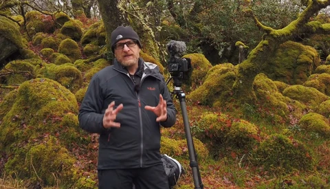 Photographing Forests and Processing in Lightroom for A Dramatic Mood