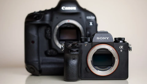 Mirrorless and DSLR Cameras Can Live Next To Each Other