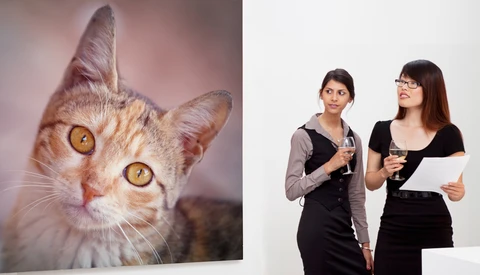 Sorry, but Your Photography Is Not Fine Art. Here’s Why