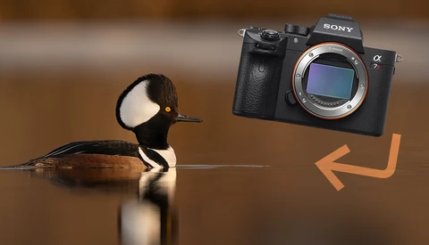 I Switched Back to the a7R III