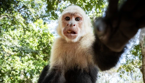 Do You Look Like an Ogre in Video Calls? Me Too. Fix It With Simple Tips From Portraiture