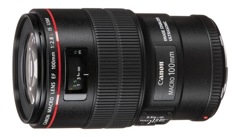 A Long-Term Review of Canon's Hidden Gem: The EF 100mm f/2.8L Macro IS USM Lens