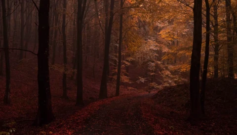 Editing Color Using an Area of Lightroom Often Ignored