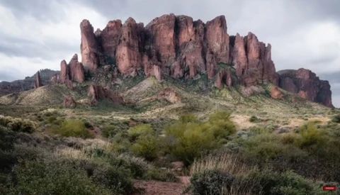 How to Use Focus Stacking for the Sharpest Photos Possible