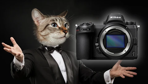 Has the Latest Firmware Upgrade Brought Dramatic Improvements to the Nikon Z 6 and Z 7?
