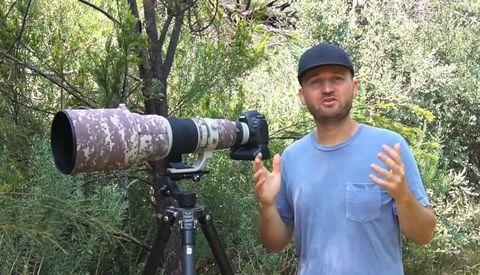 Essential Videography Tips For Wildlife Photographers