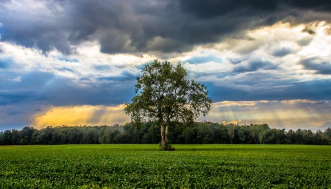 6 Ways to Import Photos Into Lightroom Classic