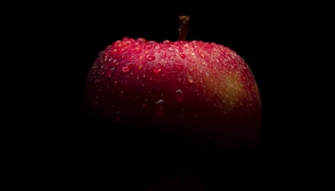 Clever Indoor Photography Tips for Beginners