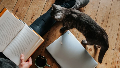 It Is Okay to Not Be Productive During COVID-19 Down Time