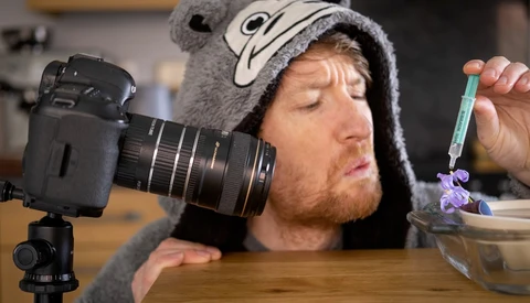 How to Get Started With Macro Photography Without Spending Much Money