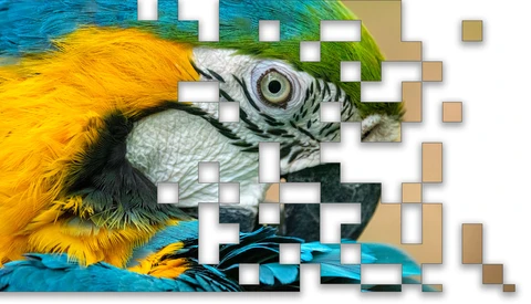 Five Steps to Preserve as Much Information as Possible in Your Images