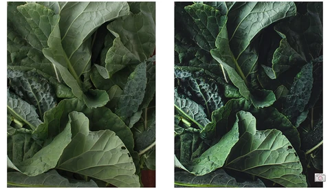 Food Photography With Cheap Equipment