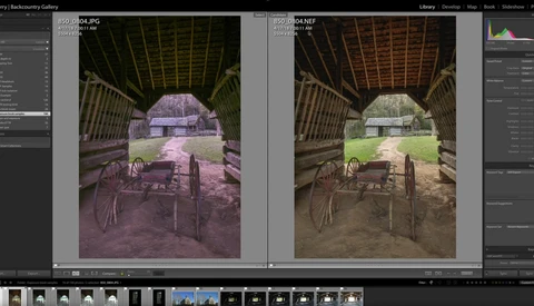 Raw Versus JPEG: Everything You Need to Know