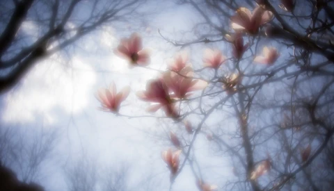 Fstoppers Review: Lensbaby's Velvet 28, Your New Favorite Creative Tool