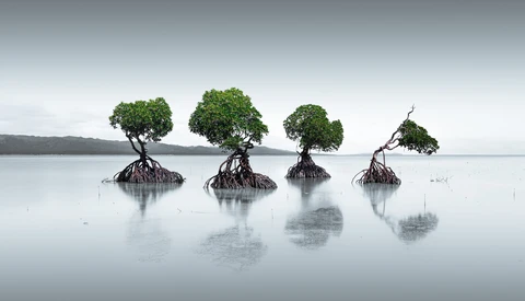 Editing Your Images Into Minimalist Landscape Photographs
