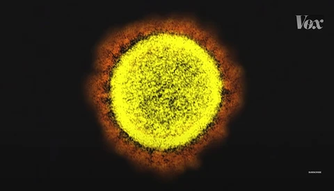 How Do Scientists Actually Create Images of the Coronavirus?