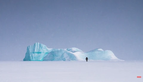 A Wide Variety of Simple and Helpful Photography Tips