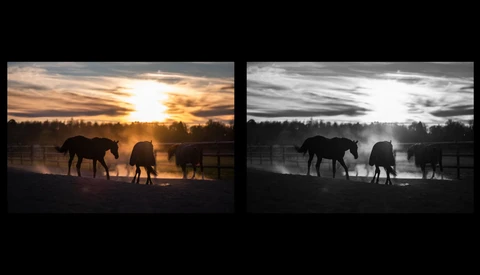 Why the Fujifilm 110mm f/2 WR is Such a Brilliant Lens