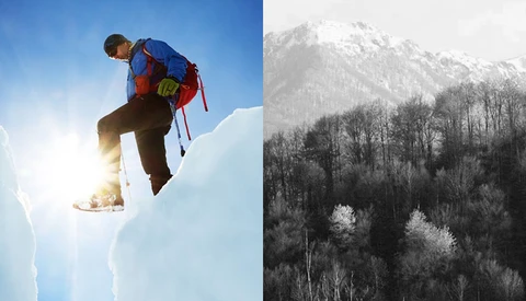 Should Commissioned Work Differ Stylistically From Personal Projects?