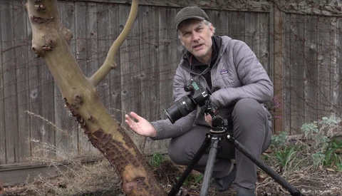 Photographic Inspiration in the Garden