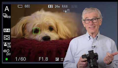 7 Different Ways to Focus a Photo