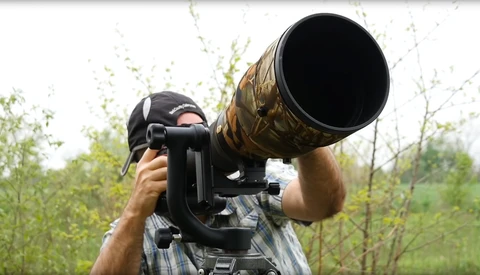 Steve Perry's Crash Course for Bird in Flight Photography!