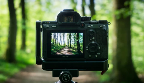How to Get Razor-Sharp Landscape Photos