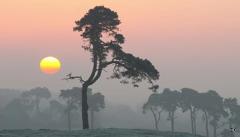 7 Ways a 70-200mm Lens Can Improve Your Landscape Photography