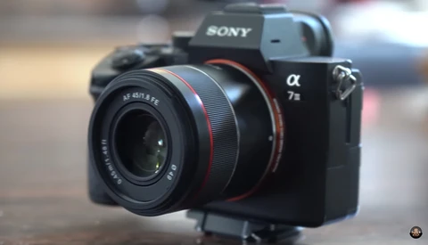 Small and Sharp: A Review of the Samyang AF 45mm f/1.8 FE Lens for Sony E Cameras