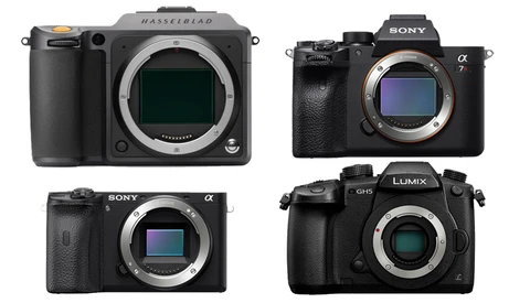 How Much Difference Does Sensor Size Actually Make When It Comes to Image Quality?
