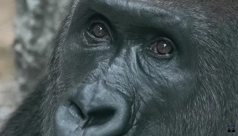 Is This the Best Denoising Software Available?