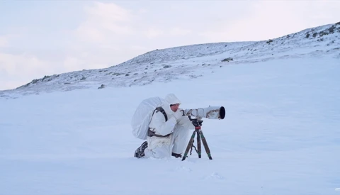 Watch an Incredible Four Day Solo Wildlife Photography Trip in Norway's Wilderness