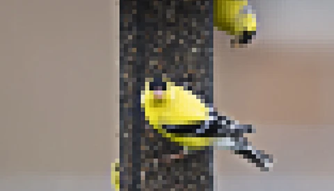 The Photographer's Pixel Problem
