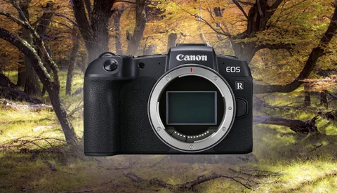 Is the Canon EOS RP the Best Value Full Frame Mirrorless Camera on the Market Right Now?