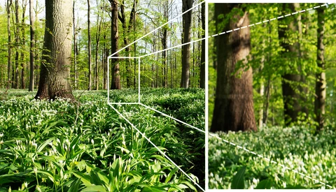 A Guide to Focusing in Landscape Photography
