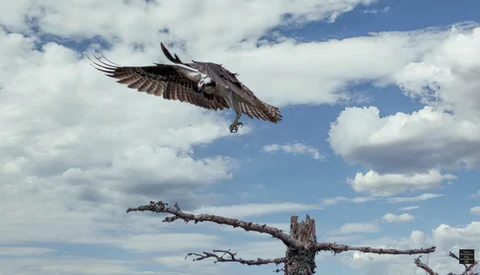 A Look at Replacing a Sky in Luminar Versus Photoshop