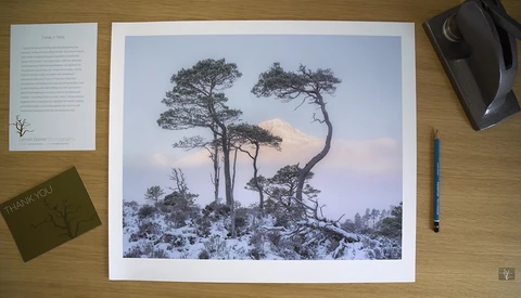 How to Present Your Prints as Professionally as Possible