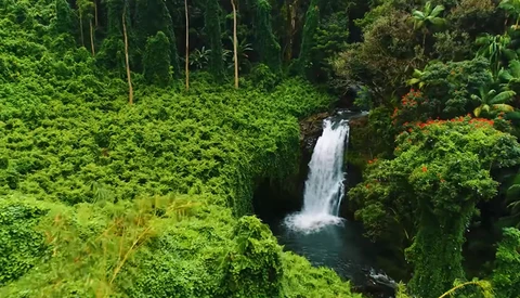 How to Shoot Cinematic Drone Footage