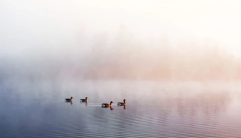 Sometimes Less Is More in Landscape Photography