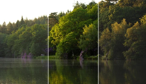 Do Lightroom Profiles Really Make a Difference in Landscape Photography?
