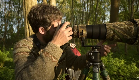 When Months of Hard Work Pays Off: Photographing Wild Scandanavian Badgers