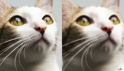 Ever Wonder Why Images Shot at f/22 Are Softer Than f/8?
